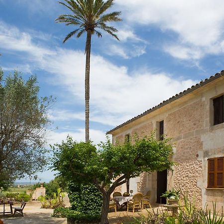 Agroturismo Es Pla De Llodrá Manacor (Mallorca) Exterior foto